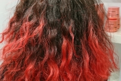 coloration4_arrière